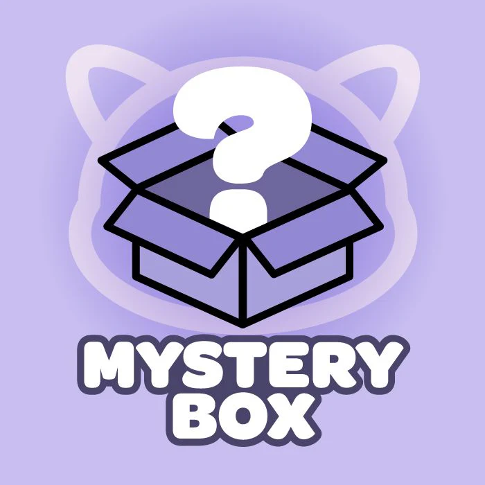 K-POP Mystery Box