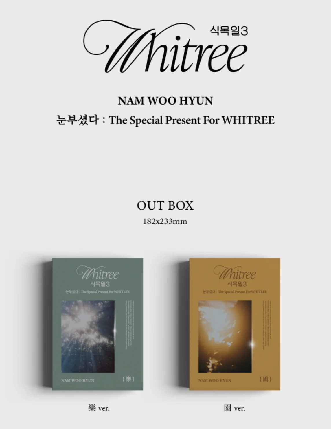 NAM WOO HYUN - THE SPECIAL PRESENT FOR WHITREE (눈부셨다) - Image 2
